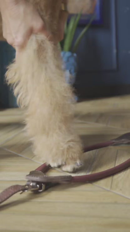 The D&H Cradle - Rolled Soft Leather Step-In Harness