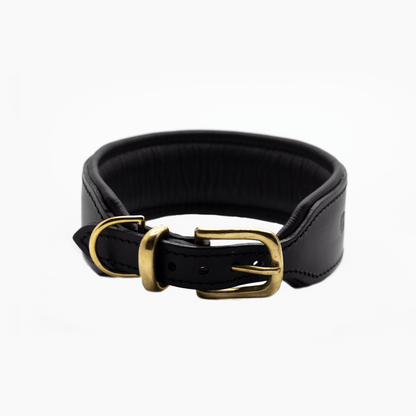 OUTLET: D&H Big Dog Padded Leather Collar