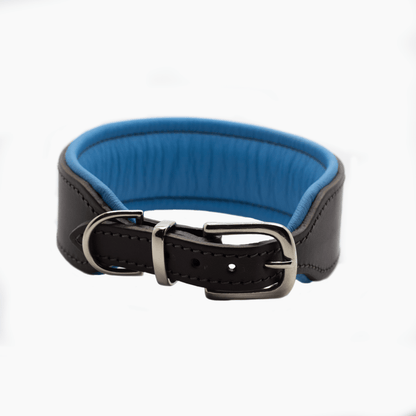 D&H Big Dog Padded leather dog Collar