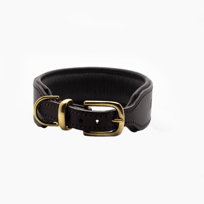 OUTLET: D&H Big Dog Padded Leather Collar