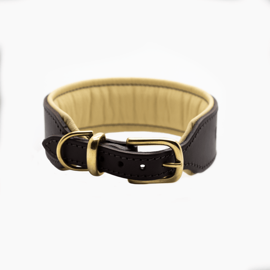 OUTLET: D&H Big Dog Padded Leather Collar