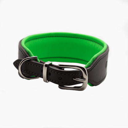 OUTLET: D&H Big Dog Padded Leather Collar