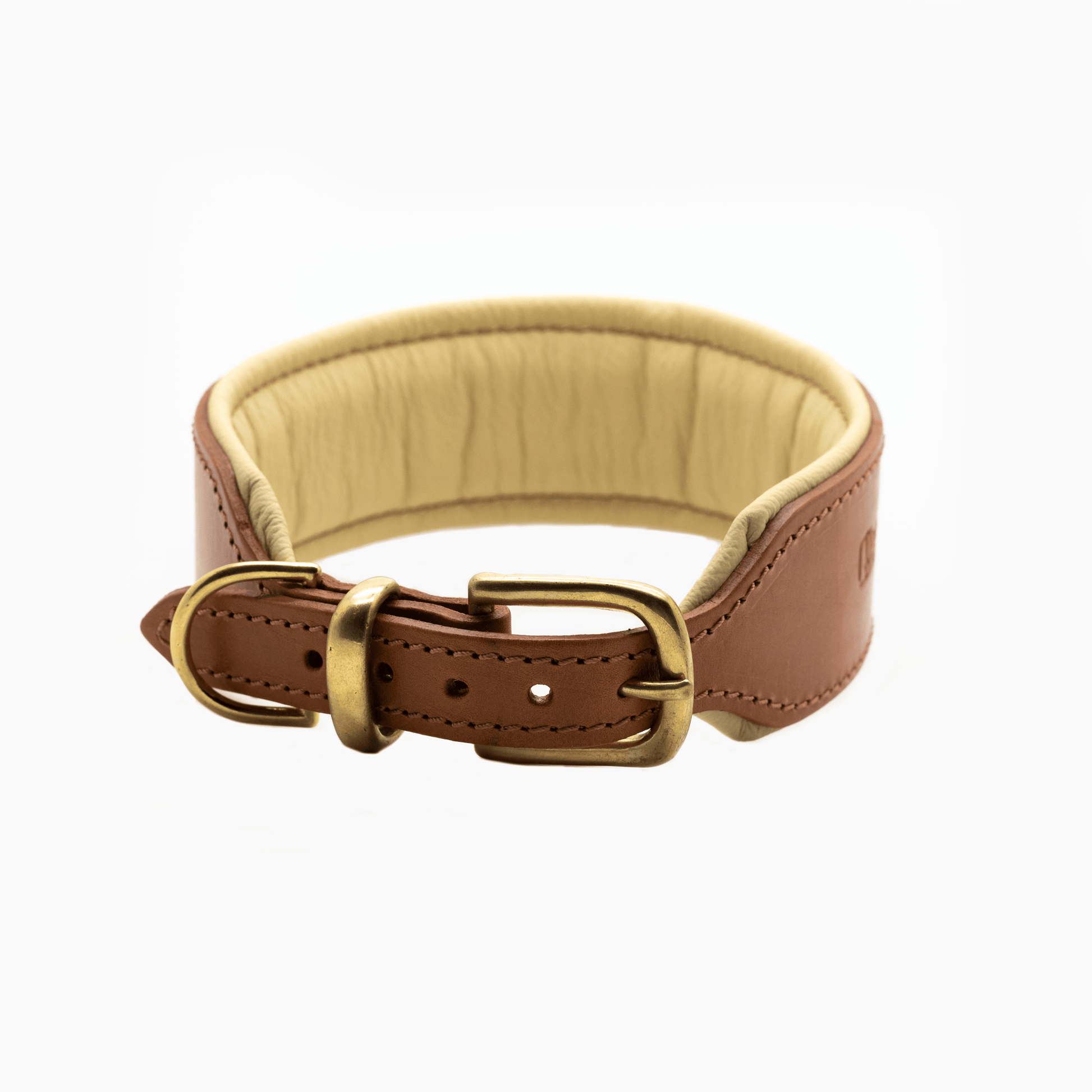 D H Big Dog Padded leather dog Collar