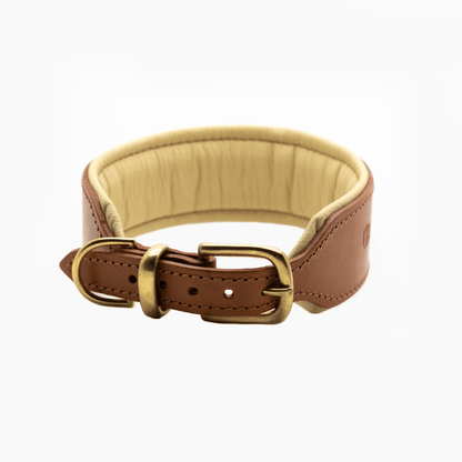 D&H Big Dog Padded leather dog Collar