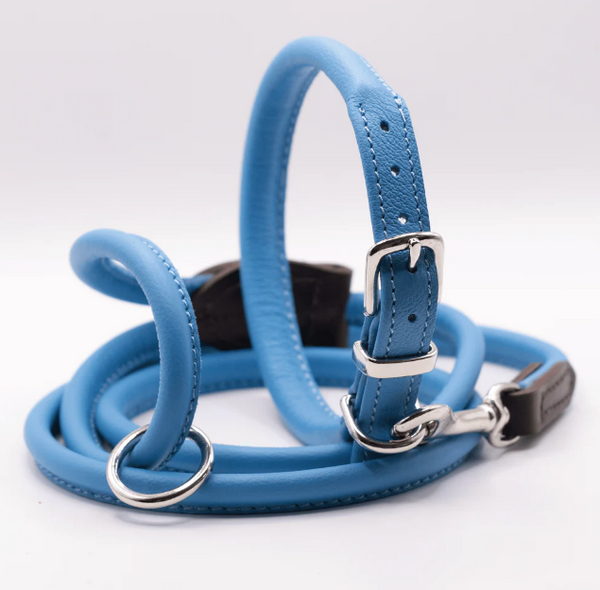 Dog collar sale making supplies uk