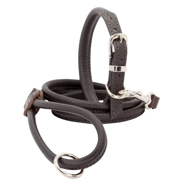 Rolled Soft Leather Dog Collar and Lead Set Brown