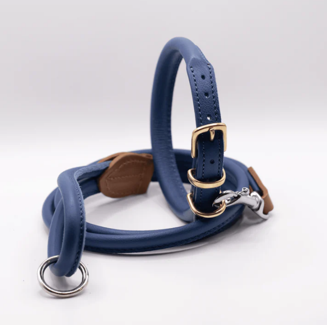 Rolled Soft Leather Dog Collar and Lead Set Electric Blue