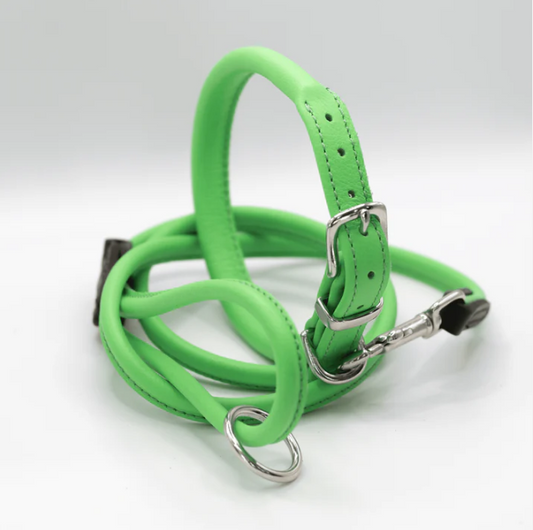 Rolled Soft Leather Dog Collar and Lead Set Green
