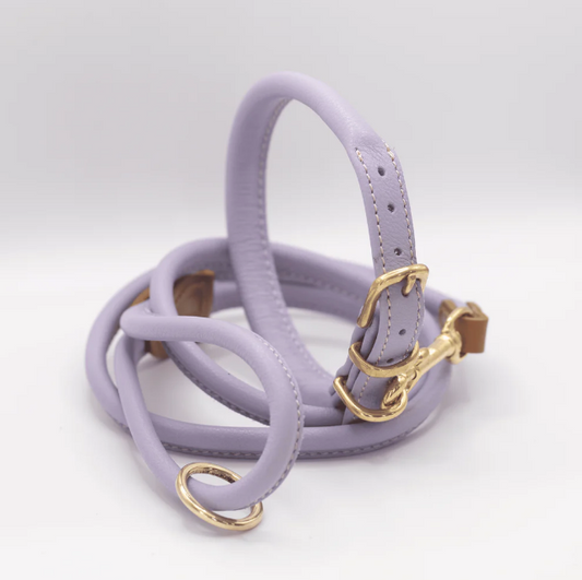 Rolled Soft Leather Dog Collar and Lead Set Lilac