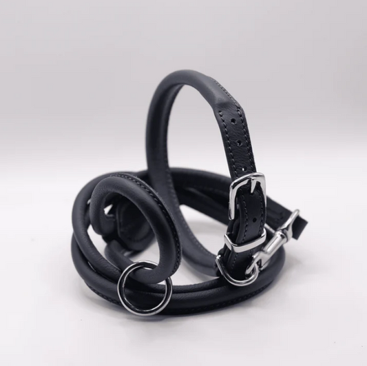 Rolled Soft Leather Dog Collar and Lead Set Navy