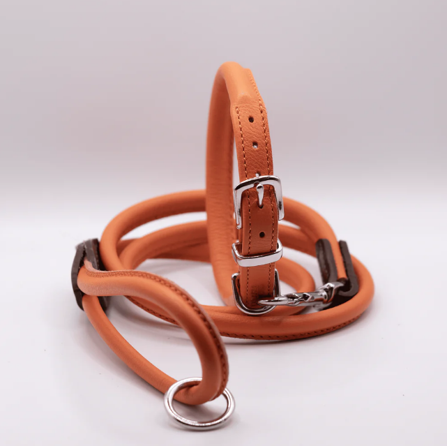 Rolled Soft Leather Dog Collar and Lead Set Orange