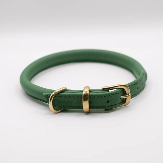 Rolled Soft Leather Dog Collar Clover