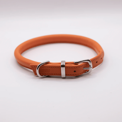 Rolled Soft Leather Dog Collar Orange