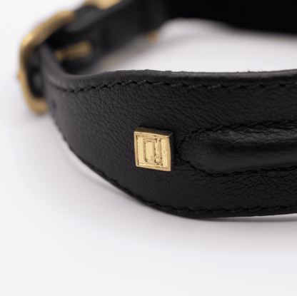 D&H Horizon Hound Collar Black