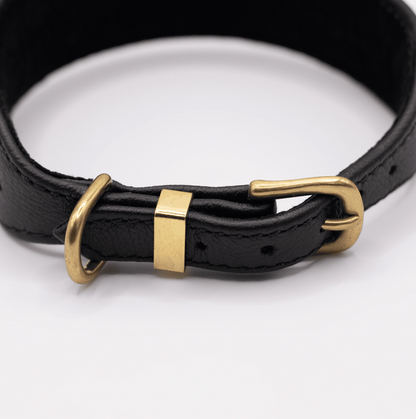 D&H Horizon Hound Collar Black