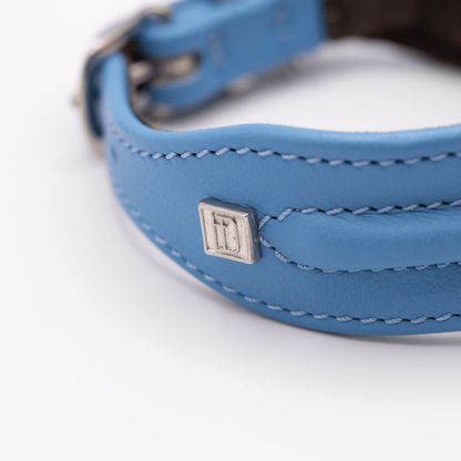 D&H Horizon Hound Collar Blue