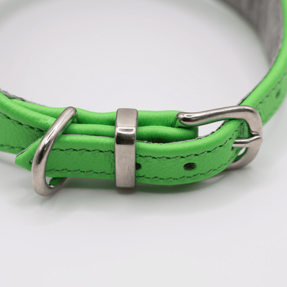 D&H Horizon Hound Collar Bright Green
