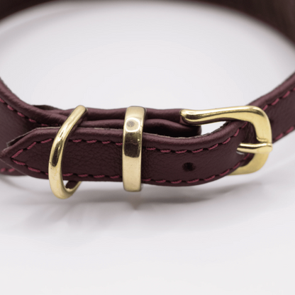 D&H Horizon Hound Collar Merlot