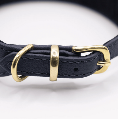 D&H Horizon Hound Collar Navy