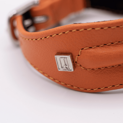 D&H Horizon Hound Collar Orange