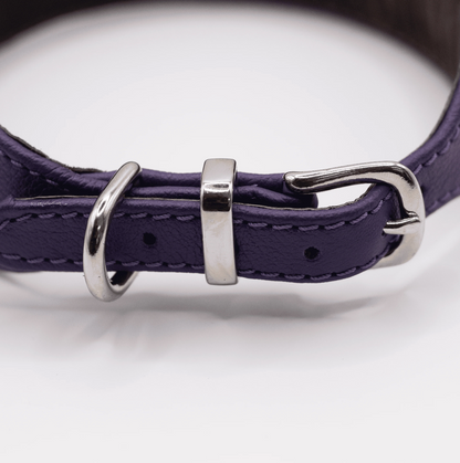 D&H Horizon Hound Collar Purple