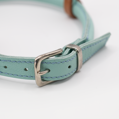 D&H Rolled Leather Dog Harness Aqua