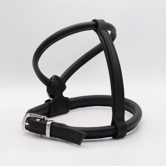 D&H Rolled Leather Dog Harness Black