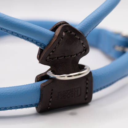 D&H Rolled Leather Dog Harness Blue