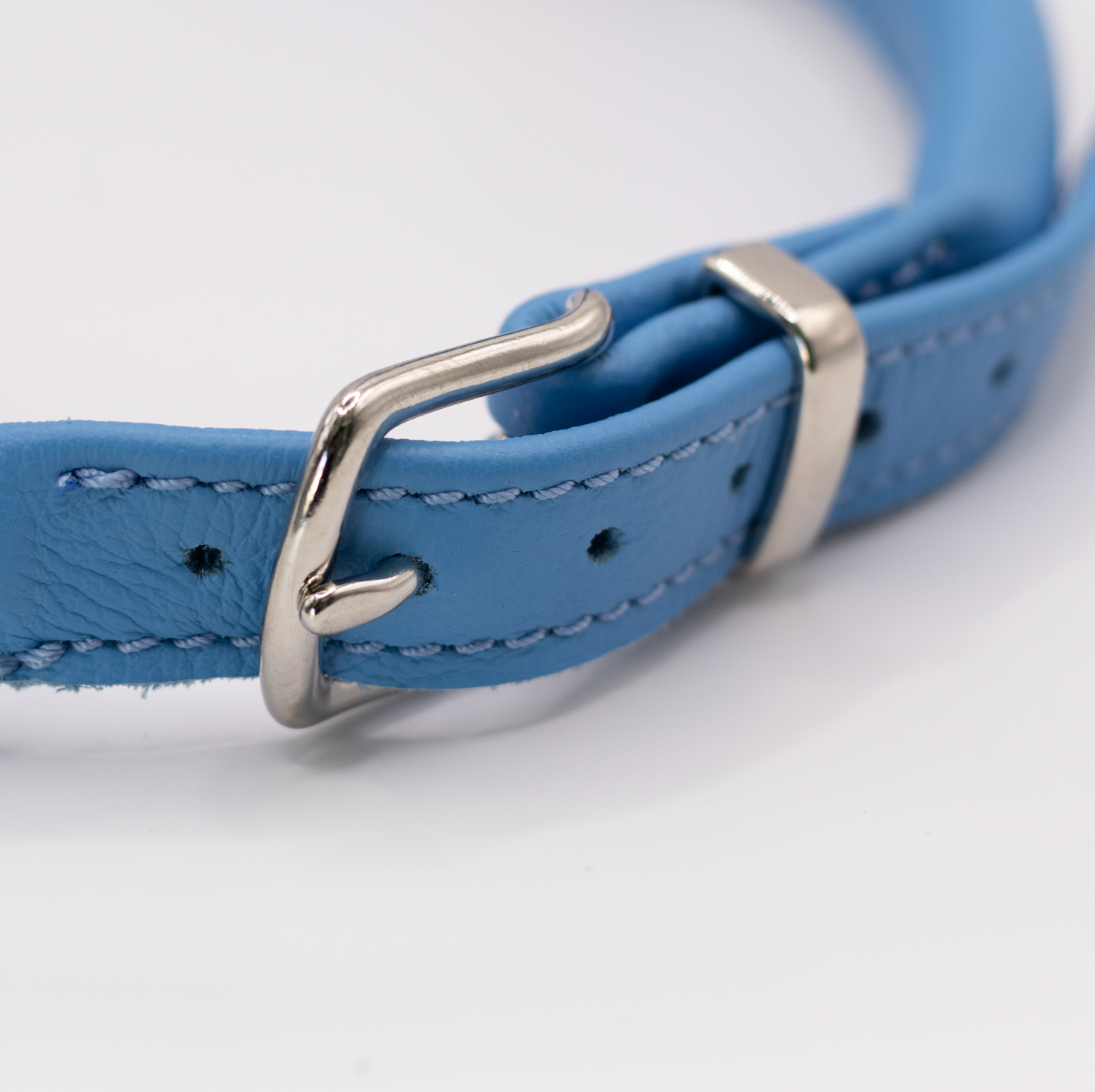 D&H Rolled Leather Dog Harness Blue
