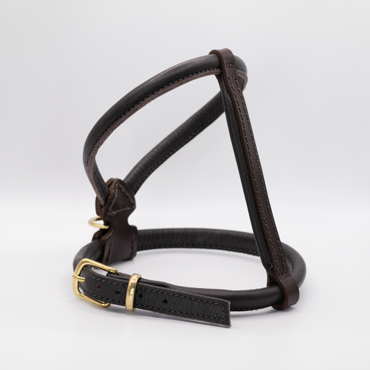D&H Rolled Leather Dog Harness Brown