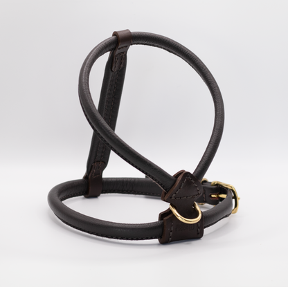 D&H Rolled Leather Dog Harness Brown