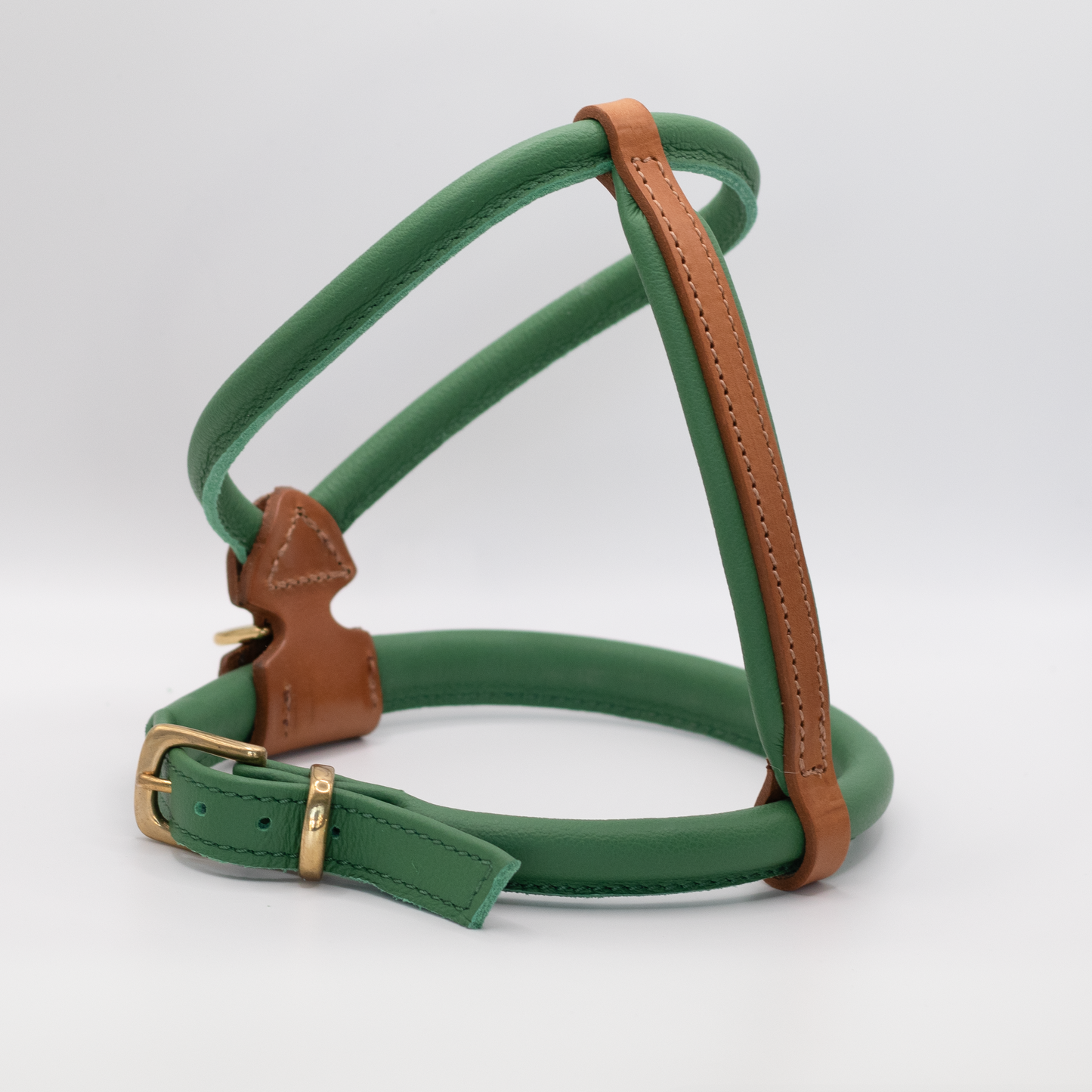 D&H Rolled Leather Dog Harness Clover