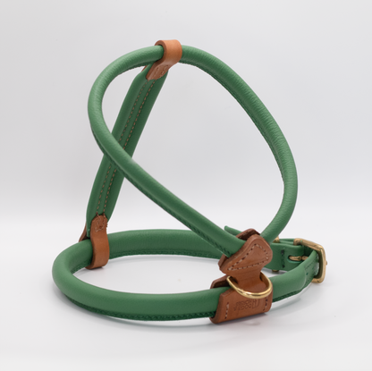 D&H Rolled Leather Dog Harness Clover