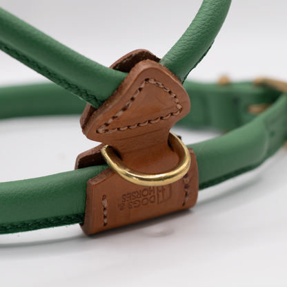 D&H Rolled Leather Dog Harness Clover
