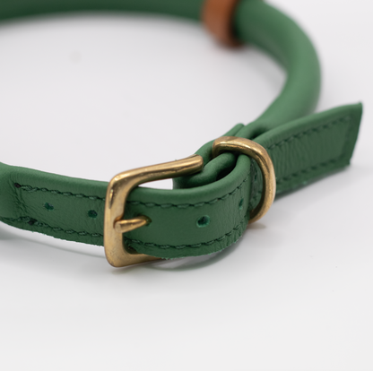 D&H Rolled Leather Dog Harness Clover