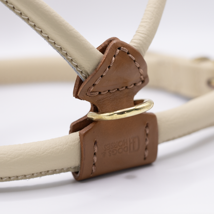 D&H Rolled Leather Dog Harness Cream