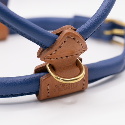 D&H Rolled Leather Dog Harness Electric Blue