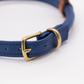 D&H Rolled Leather Dog Harness Electric Blue