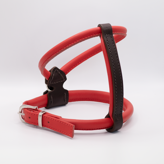 D&H Rolled Leather Dog Harness Red
