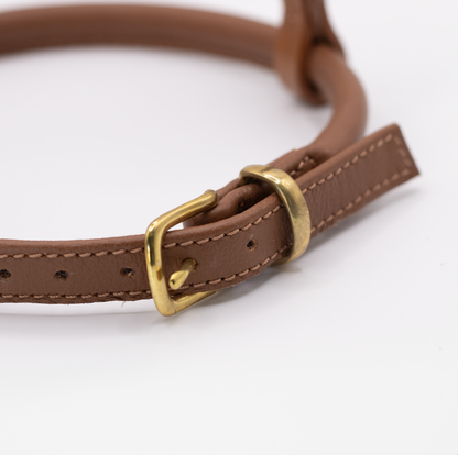 D&H Rolled Leather Dog Harness Tan