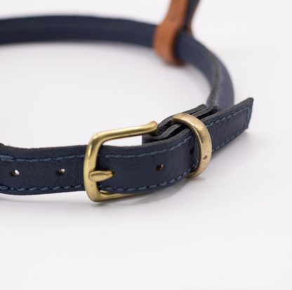 D&H Rolled Leather Dog Harness Navy