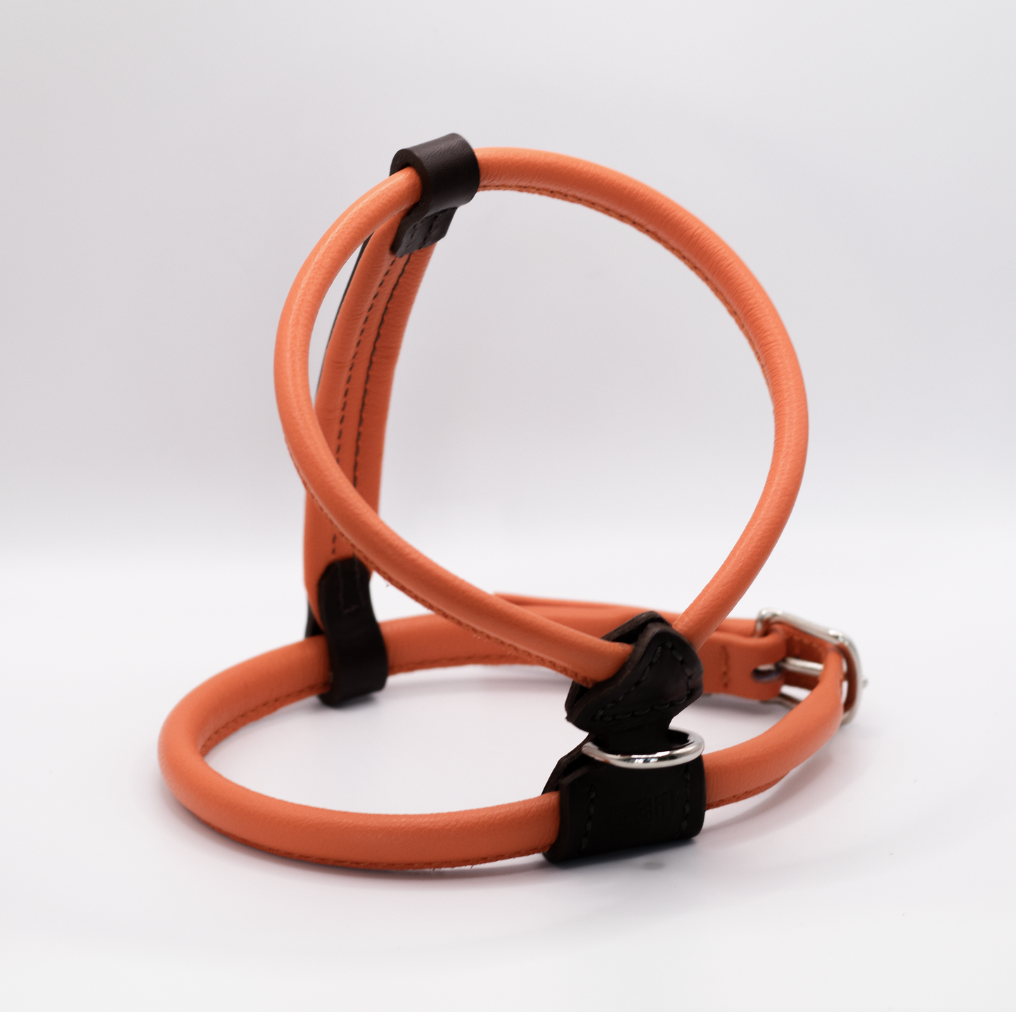 D&H Rolled Leather Dog Harness Orange