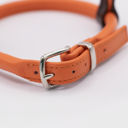 D&H Rolled Leather Dog Harness Orange