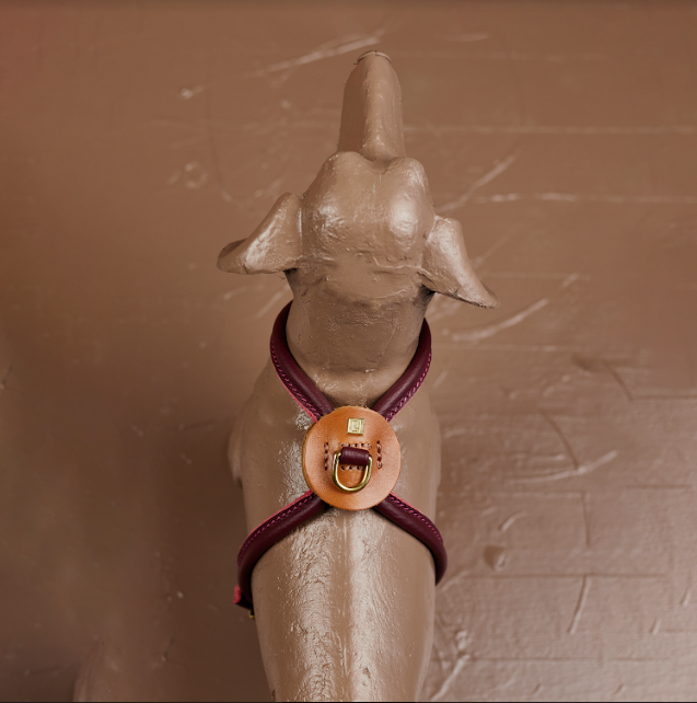 Best harness for sales miniature dachshund uk