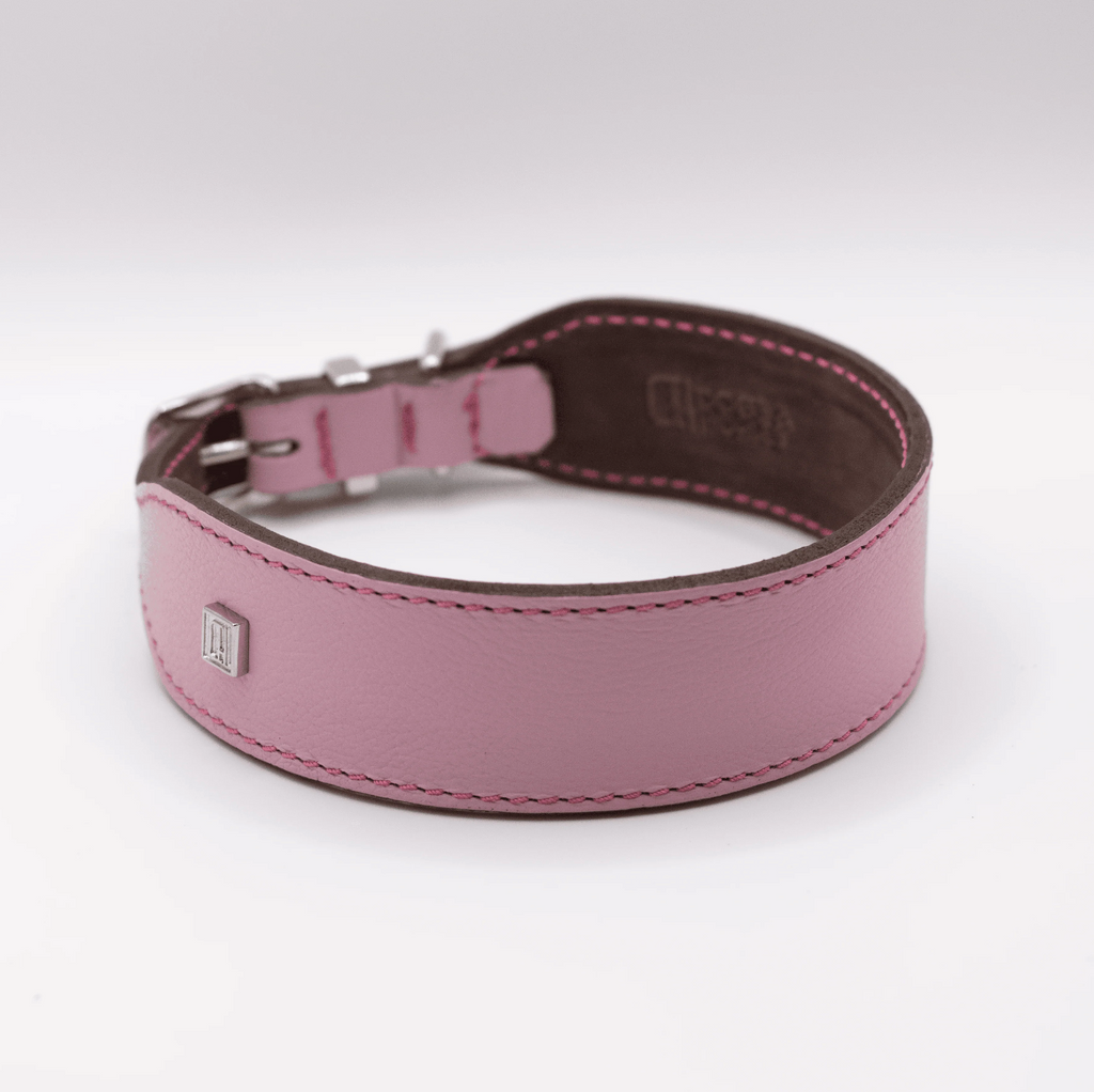 Dog Collar Leather and Biothane store Natural Veg-Tanned and Hot Pink