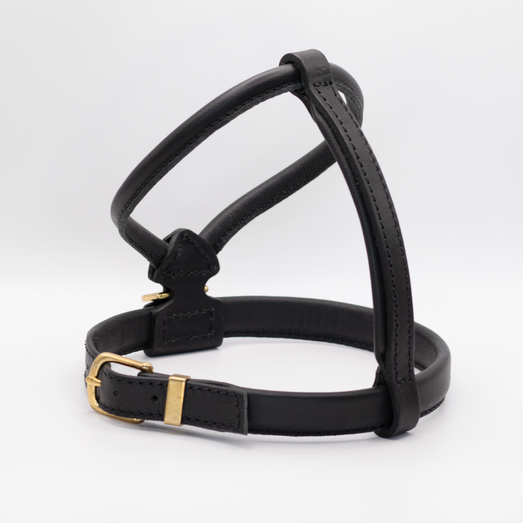 French Bulldog Leather Harness Black