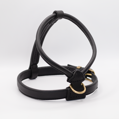 French Bulldog Leather Harness Black