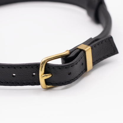 French Bulldog Leather Harness Black