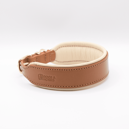 D&H Big Dog Padded leather dog Collar