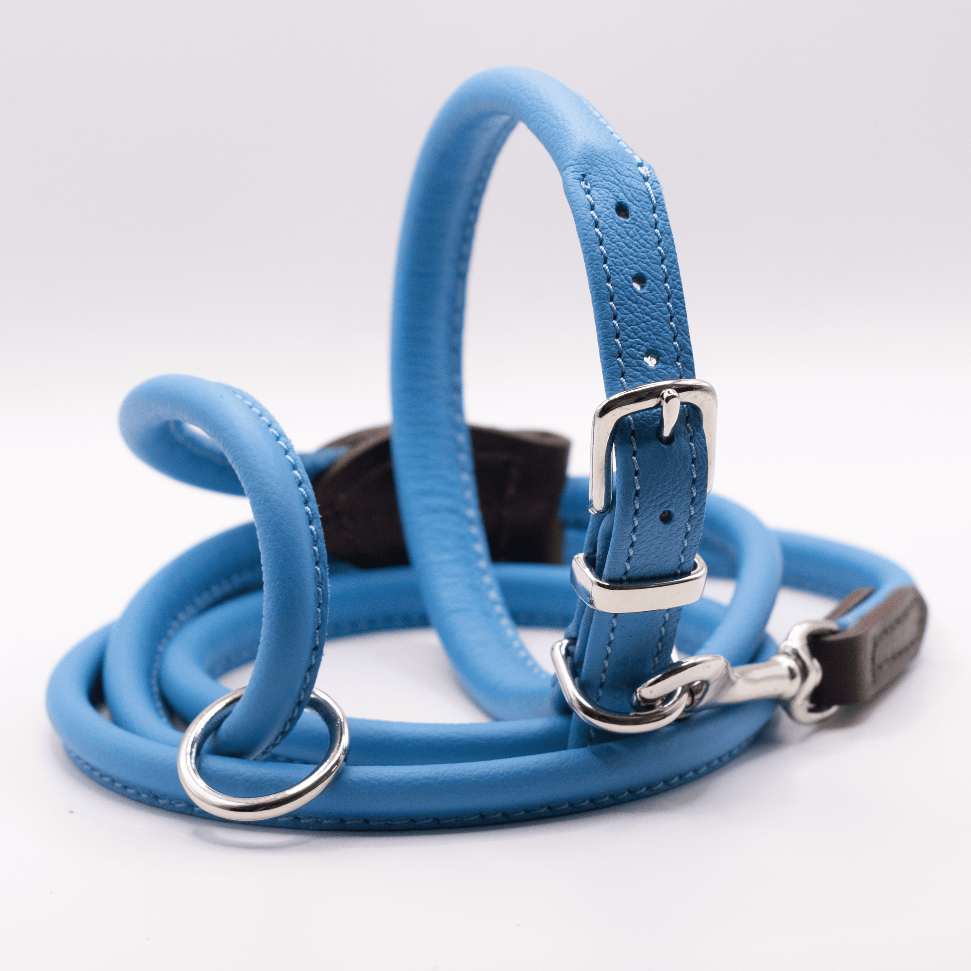 Leather dog 2024 collar and lead